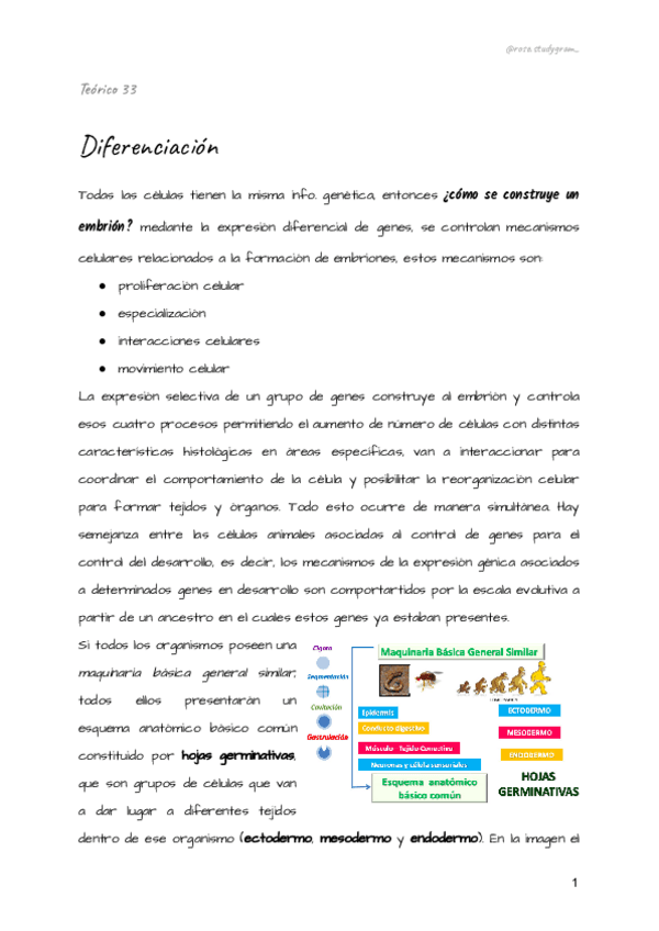 Miniatura del documento Teorico-33-bcm.pdf