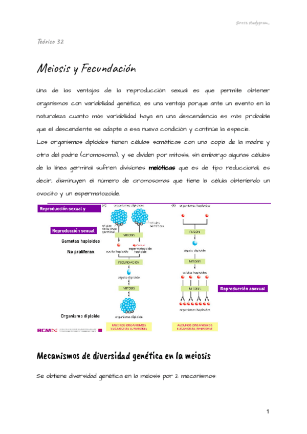 Miniatura del documento Teorico-32-bcm.pdf