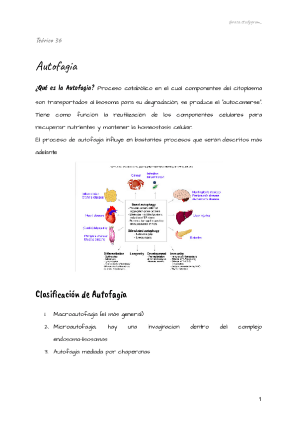 Miniatura del documento Teorico-36-bcm.pdf