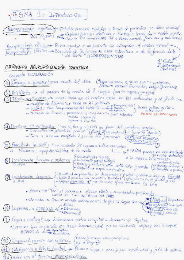 Miniatura del documento Apuntes neuroriconudos.pdf