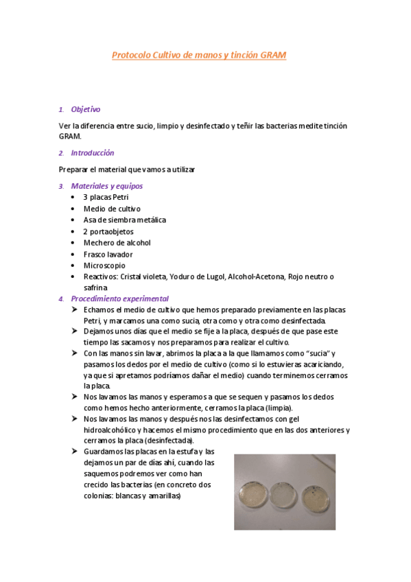 Miniatura del documento Protocolo-Cultivo-manos-y-tincion-GRAM.pdf