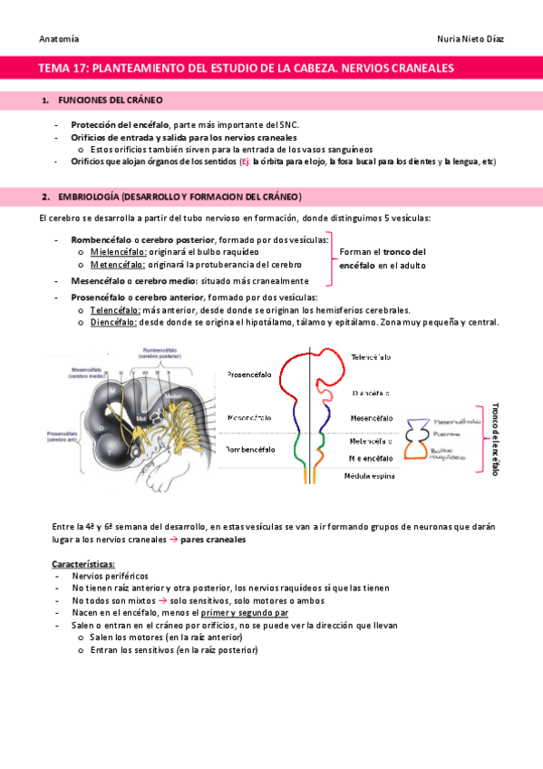 Miniatura del documento TEMA-17-Planteamiento-del-estudio-de-la-cabeza.pdf