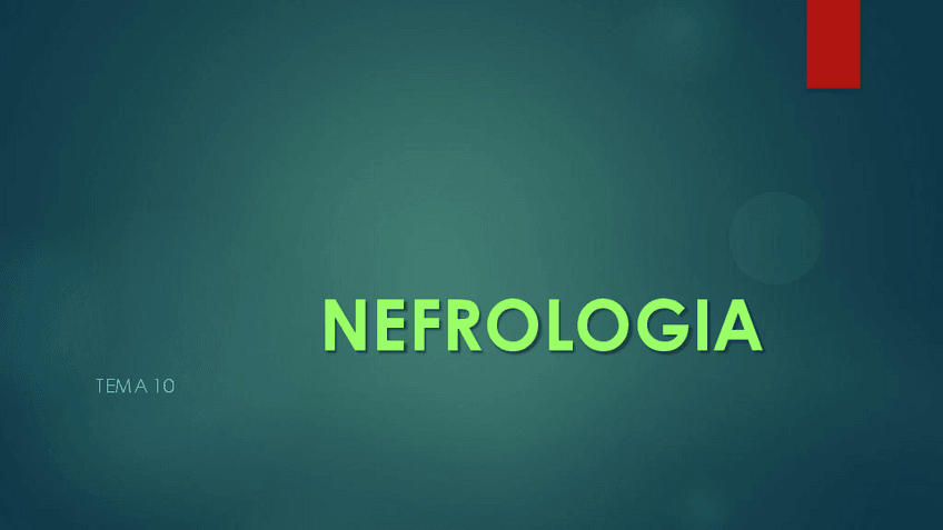 Miniatura del documento TEMA-13.pdf