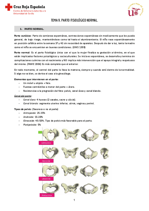 Miniatura del documento Tema-9-Reproductiva-2.pdf