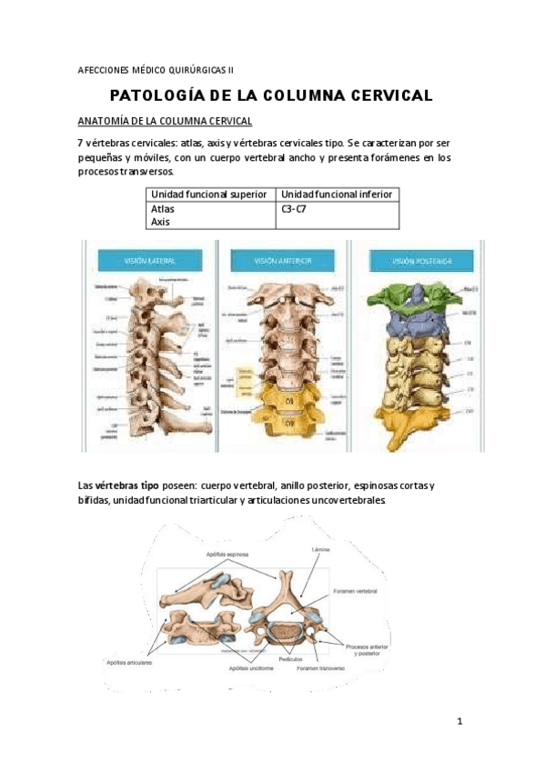 Miniatura del documento TEMAS-DANI-2-Patologia-Columna-Cervical.pdf