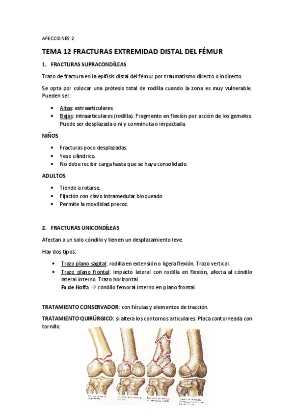 Miniatura del documento TEMAS-OSW-12-Fracturas-Extremo-Distal-Femur.pdf