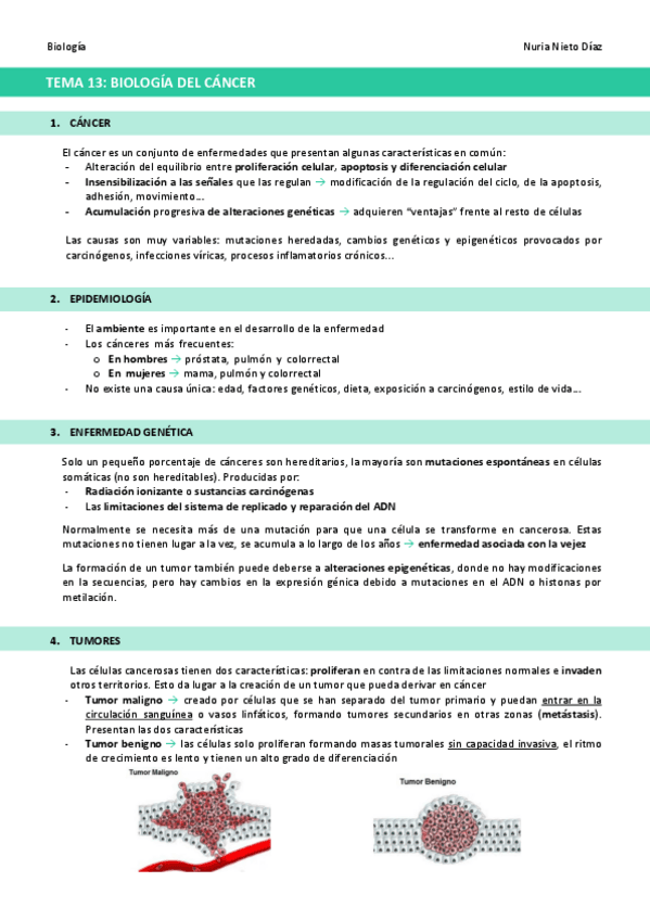 Miniatura del documento TEMA-13-Biologia-del-cancer.pdf
