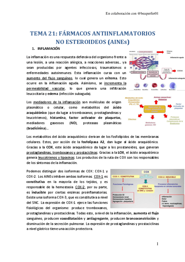 Miniatura del documento TEMA-21.pdf