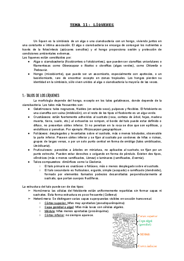 Miniatura del documento TEMA-11-ALGAS.pdf