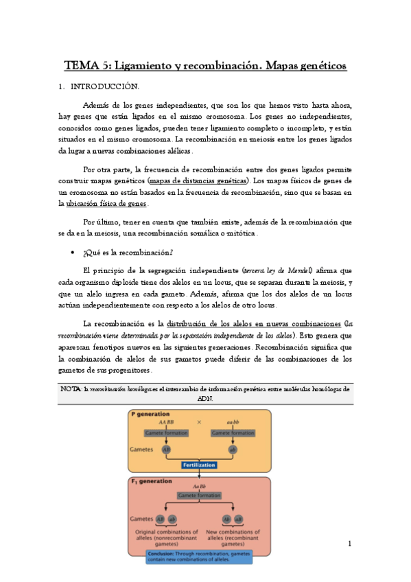 Miniatura del documento TEMA-5.pdf