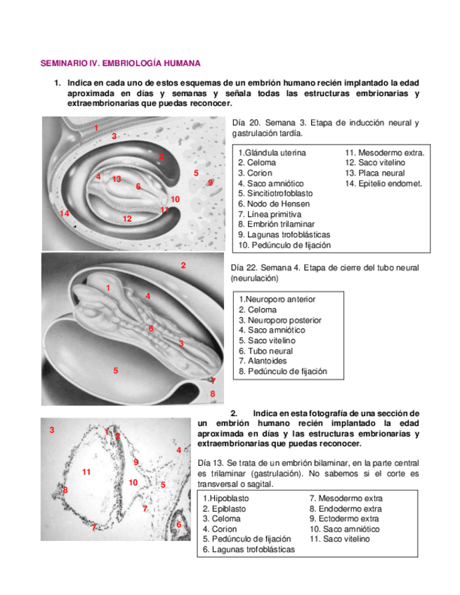 Miniatura del documento Seminario-4.pdf