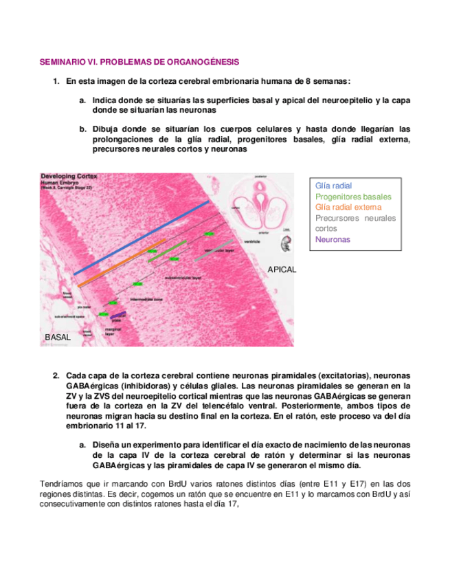 Miniatura del documento Seminario-6.pdf