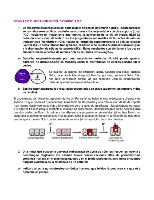 Miniatura del documento Seminario-5.pdf