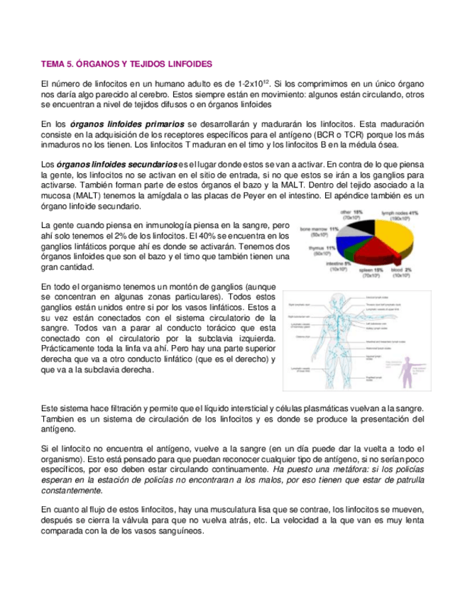 Miniatura del documento 5.pdf