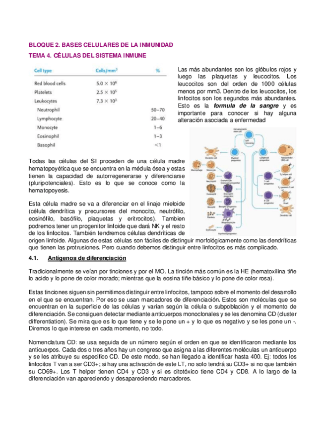 Miniatura del documento 4.pdf