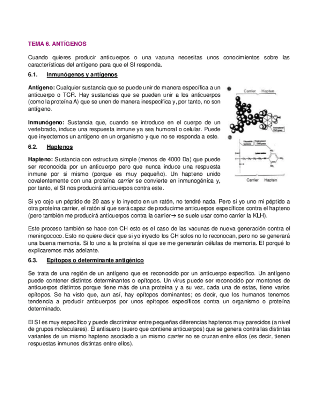 Miniatura del documento 6.pdf