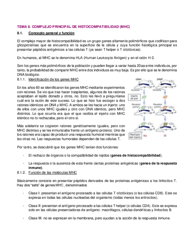 Miniatura del documento 8.pdf