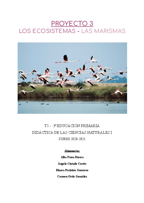 Miniatura del documento PROYECTO-3-NATURALES.pdf