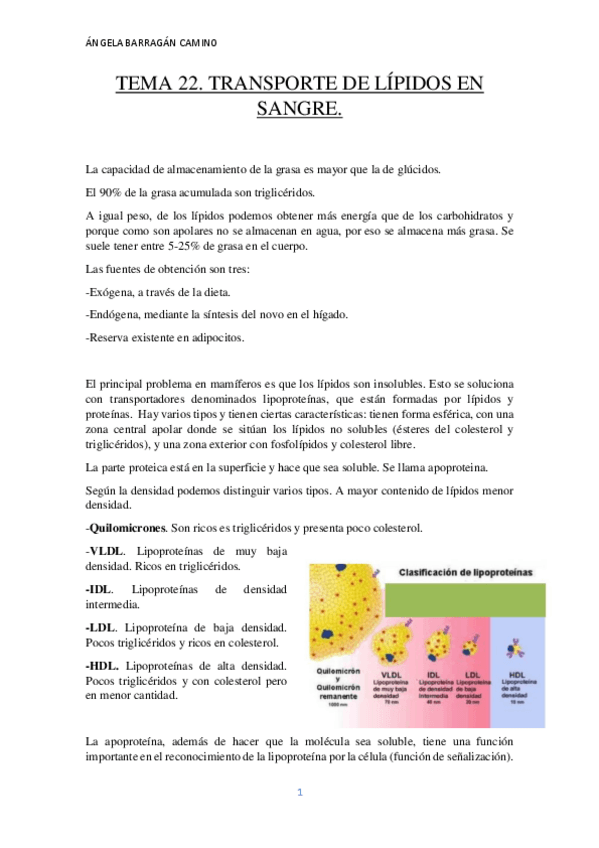 Miniatura del documento TEMA 22.pdf