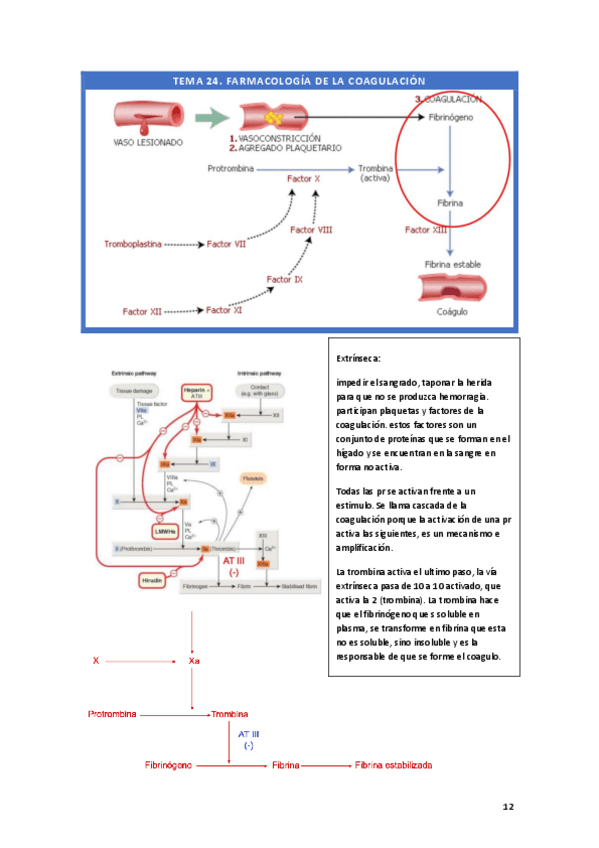 Miniatura del documento F-T24.pdf
