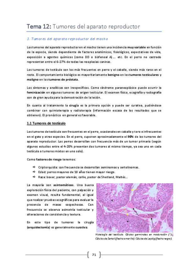 Miniatura del documento Tema-12.pdf