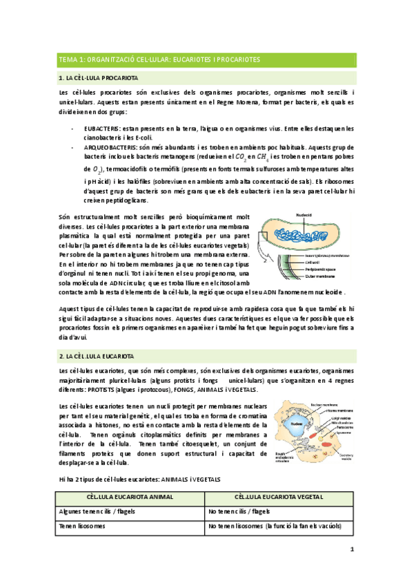 Miniatura del documento Biologia cel·lular 1er parcial.pdf
