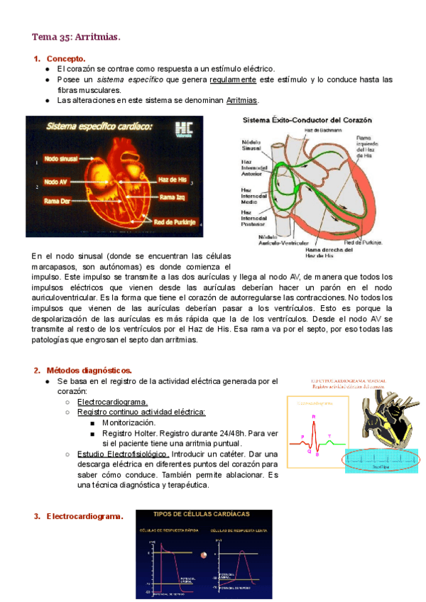 Miniatura del documento Tema-35.pdf