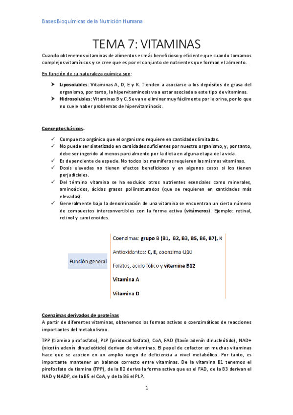 Miniatura del documento TEMA-7-VITAMINAS.pdf