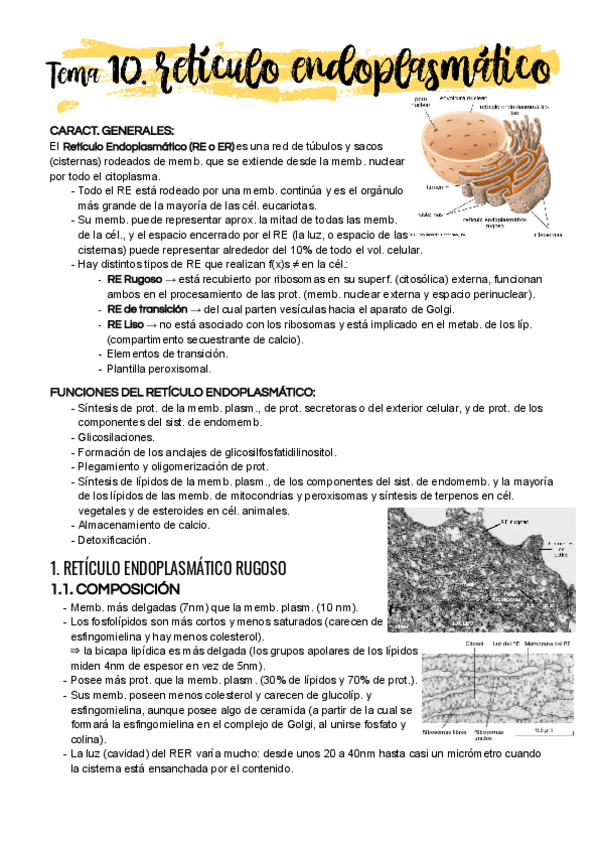 Miniatura del documento Tema-10.pdf