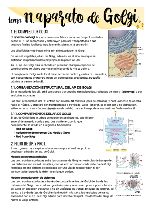 Miniatura del documento Tema-11.pdf