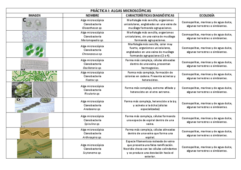Miniatura del documento Esquema-practicas.pdf