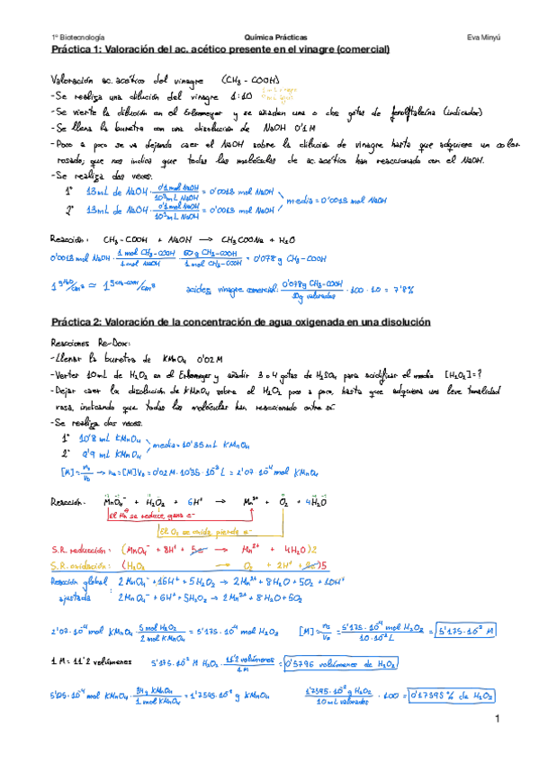 Miniatura del documento Quimica-Practicas.pdf