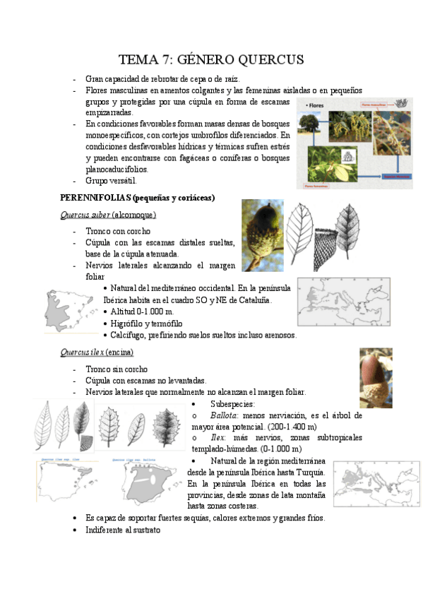 Miniatura del documento Tema-7.pdf
