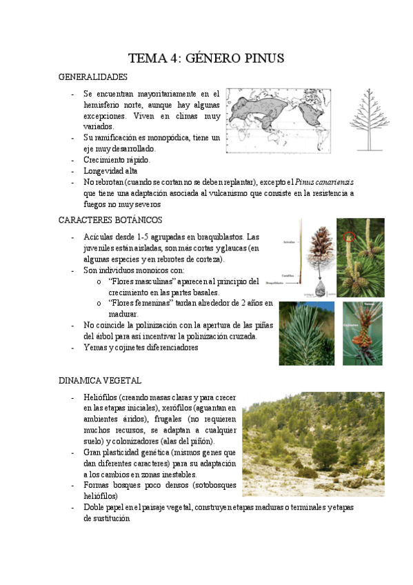 Miniatura del documento Tema-4.pdf