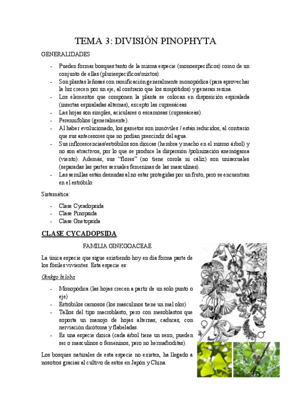 Miniatura del documento Tema-3.pdf