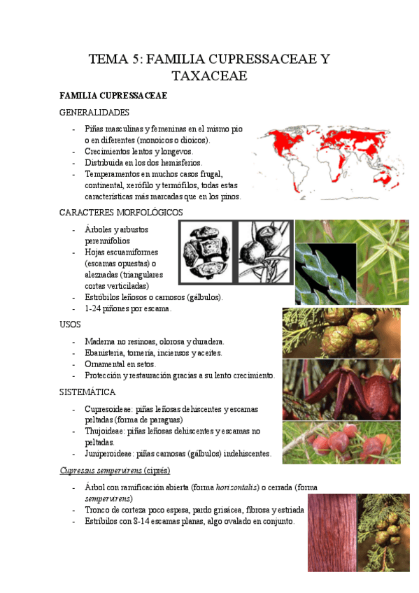 Miniatura del documento Tema-5.pdf