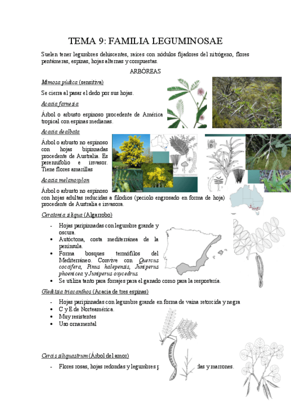 Miniatura del documento Tema-9.pdf