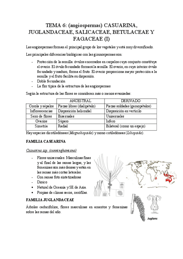 Miniatura del documento Tema-6.pdf