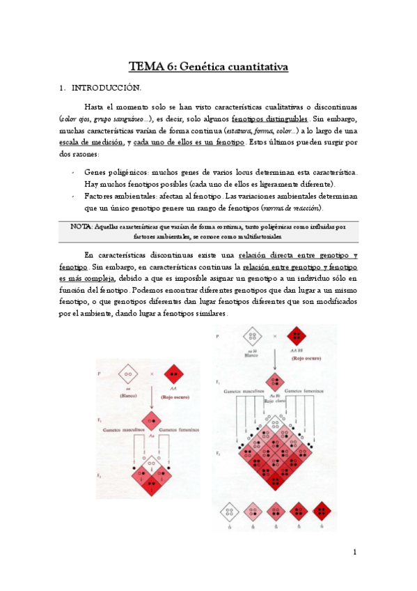 Miniatura del documento TEMA-6.pdf