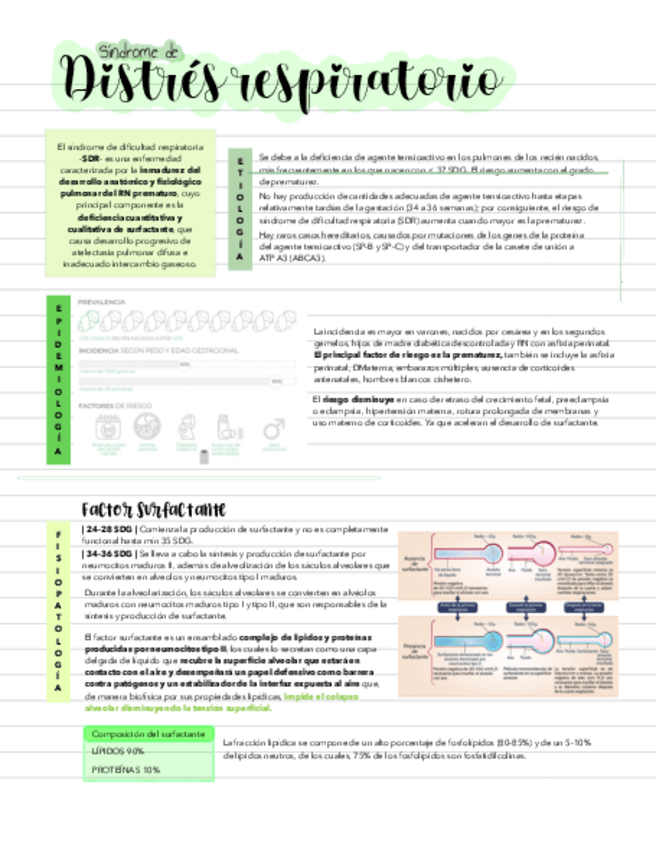 Miniatura del documento EMH.pdf