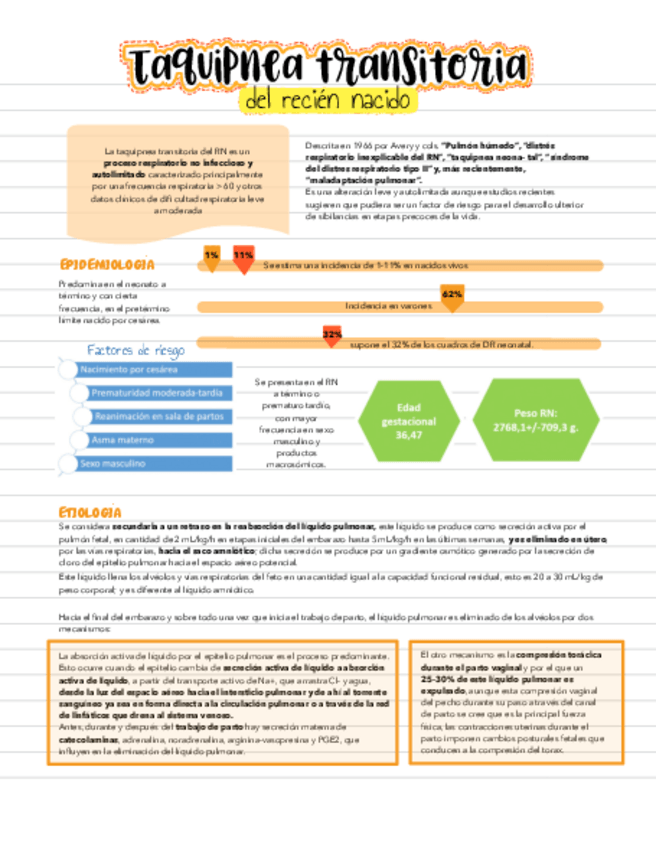 Miniatura del documento TTRN.pdf
