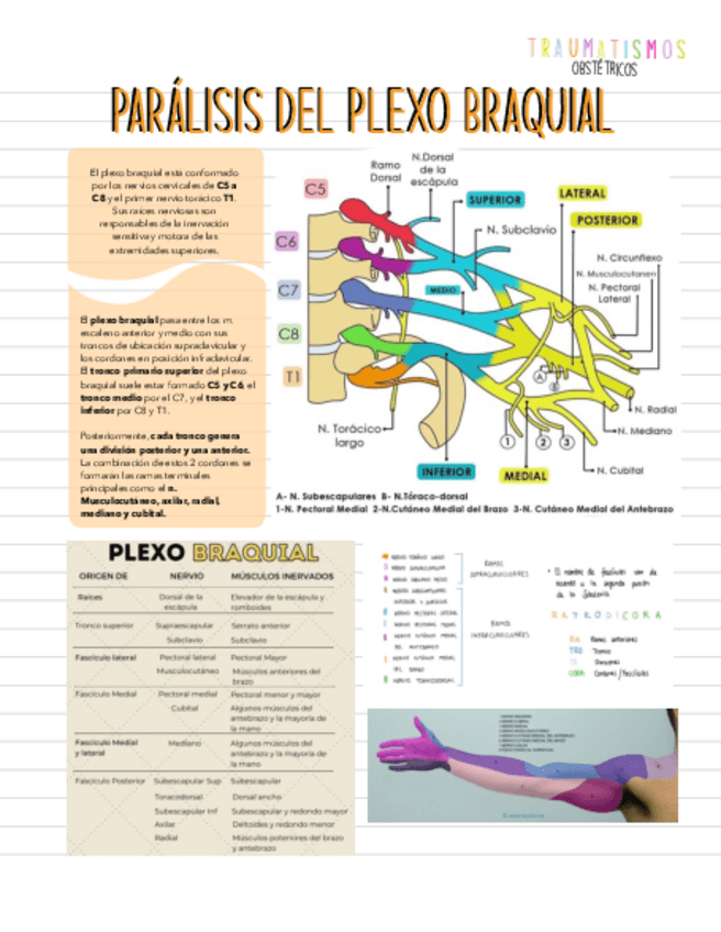 Miniatura del documento PPB.pdf