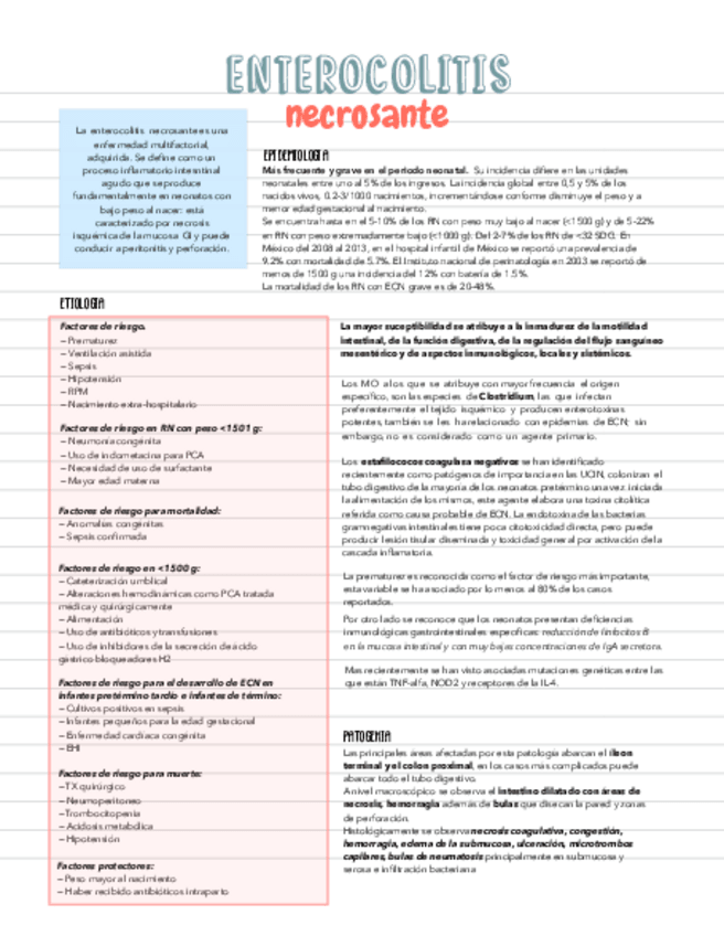 Miniatura del documento ECN.pdf