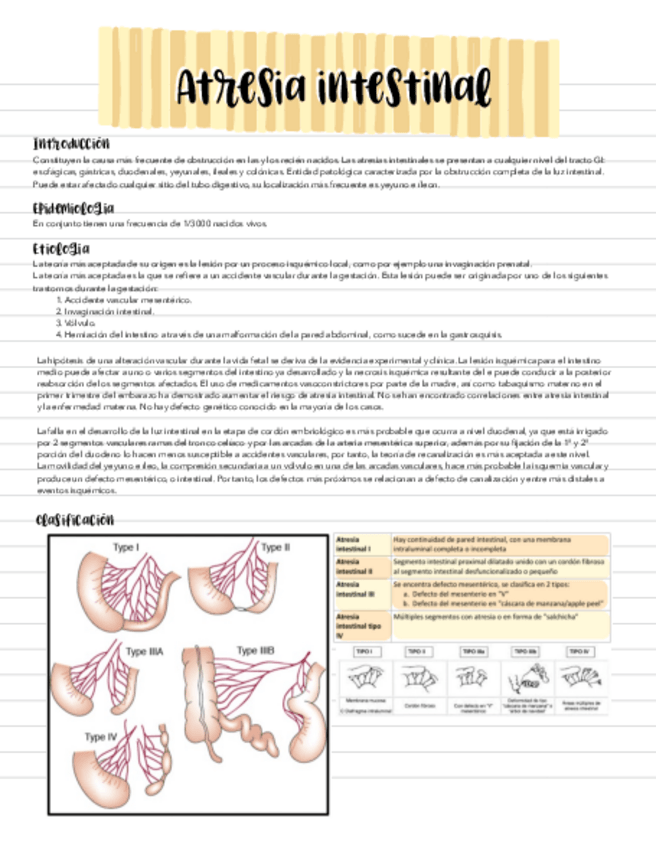 Miniatura del documento atresias.pdf