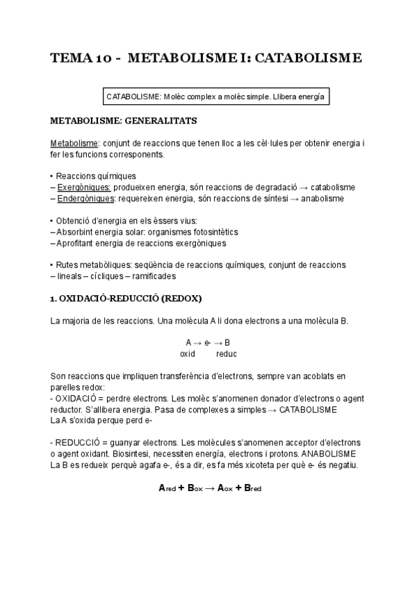 Miniatura del documento TEMA-10-METABOLISME-I-CATABOLISME.pdf