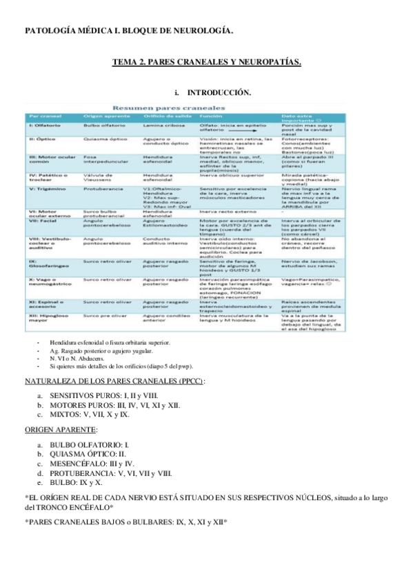 Miniatura del documento Tema-2-NeuroPM.pdf
