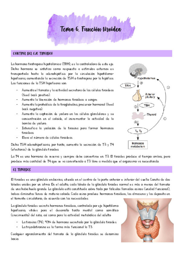 Miniatura del documento Tema-6.pdf