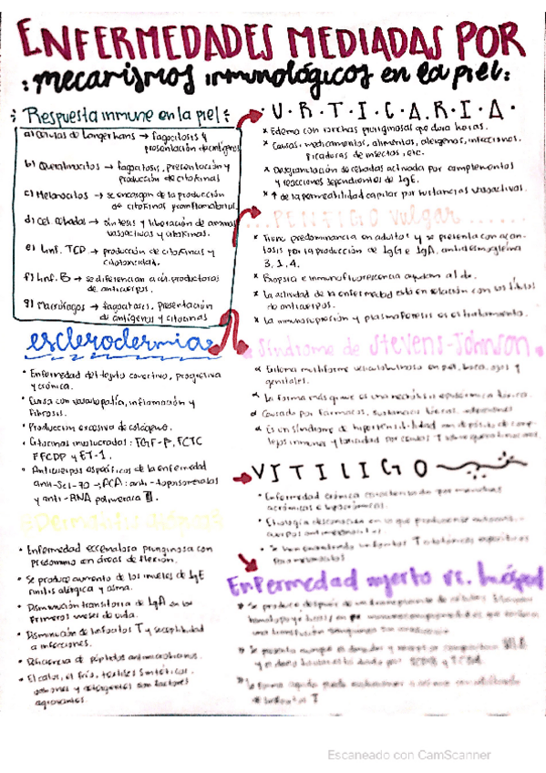 Miniatura del documento enfermedades.pdf