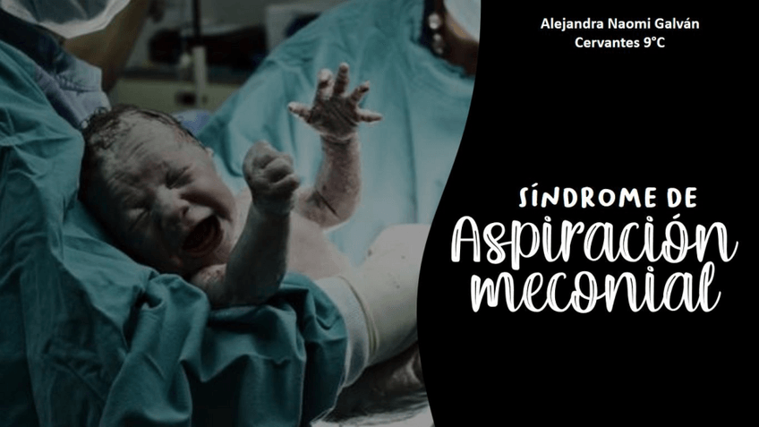 Miniatura del documento CLASESAM.pdf