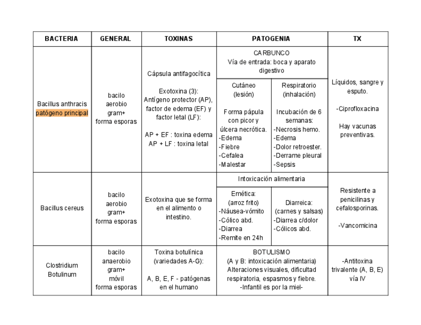 Miniatura del documento CLASIFICACION-DE-BACTERIAS.pdf